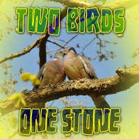 Two Birds One Stone (2 Pack) - Full Cover cover